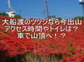 大船渡のツツジなら今出山 アクセス時間やトイレは？車で山頂へ！？