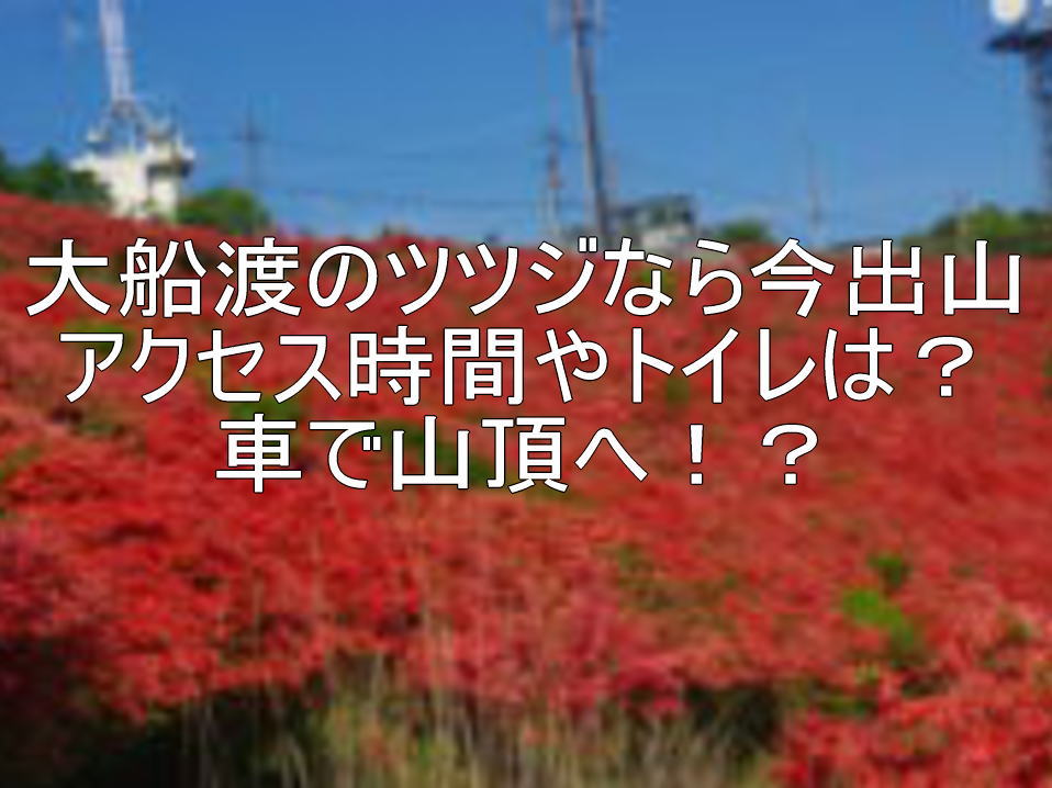 大船渡のツツジなら今出山 アクセス時間やトイレは？車で山頂へ！？