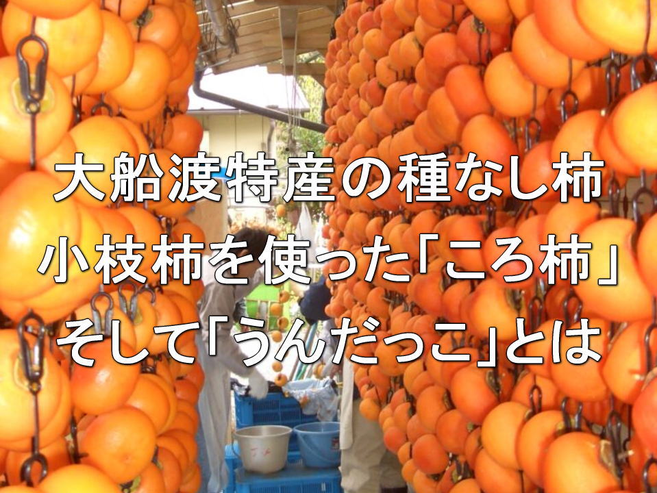 大船渡特産の種なし柿・小枝柿を使った「ころ柿」、そして「うんだっこ」とは