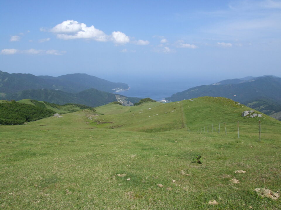 夏虫山の山頂から望む越喜来湾