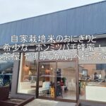 自家栽培米のおにぎりと希少なニホンミツバチ蜂蜜!「米茶屋 やすみじかん」へ行ってみた yasumi_ec